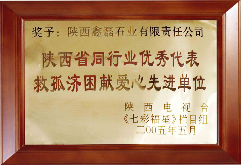 2005年陕西省电视台 授予——救孤济困献爱心先进单位
